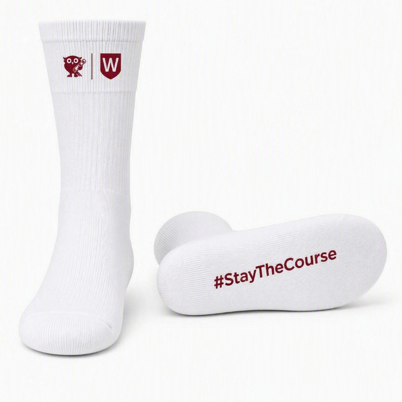 Stay the Course - Socks
